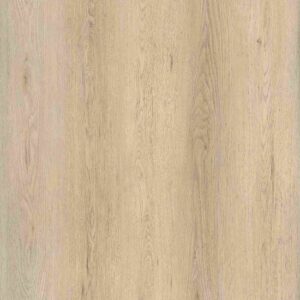 Excelsior Plank Click